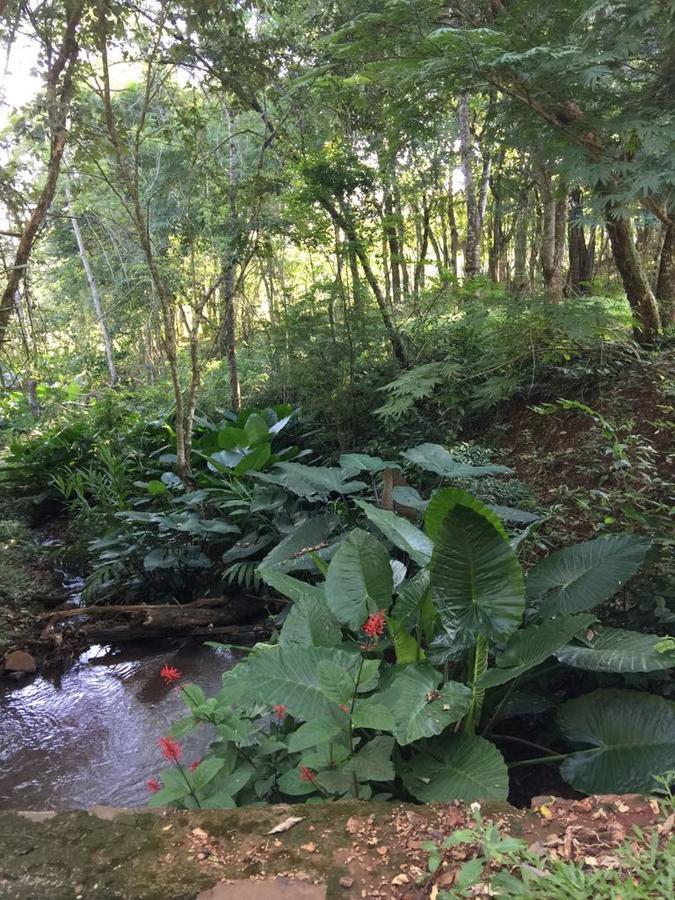 הוילה פוארטו איגואסו Casa Naturalis Iguazu מראה חיצוני תמונה